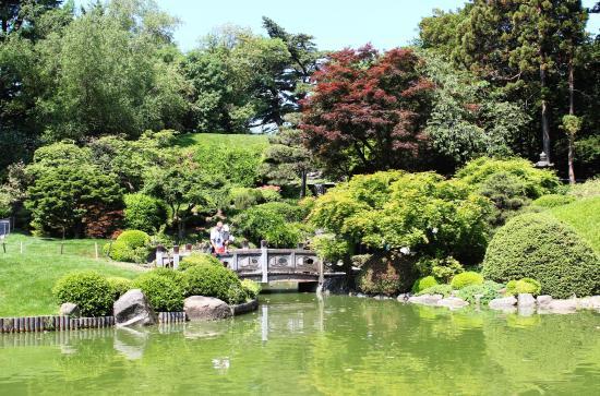 Botanischer Garten Brooklyn